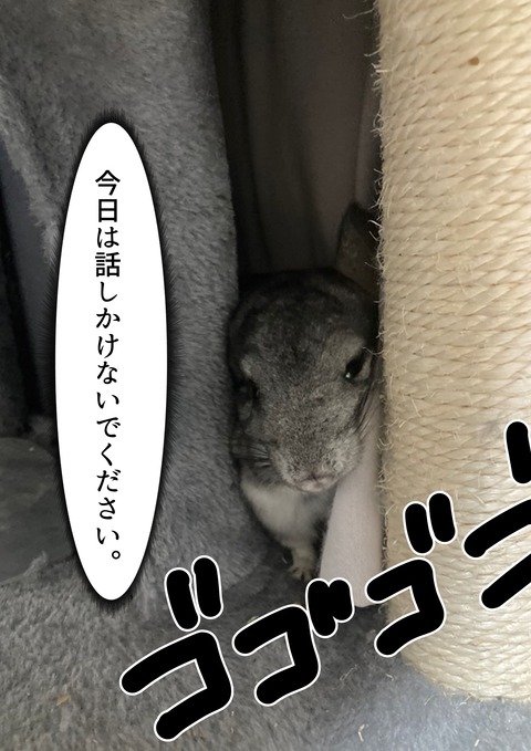 個展に出した画像_002