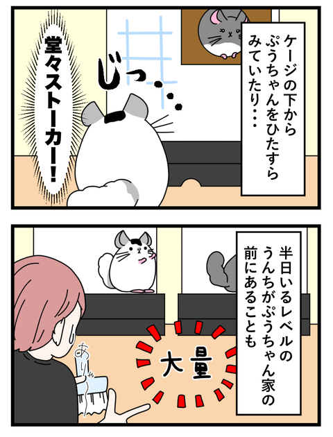 福丸くん_013 copy 3