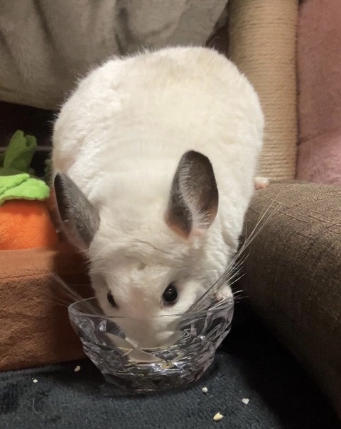 2431ABDA-BB97-44F7-8284-E2538146B2F6