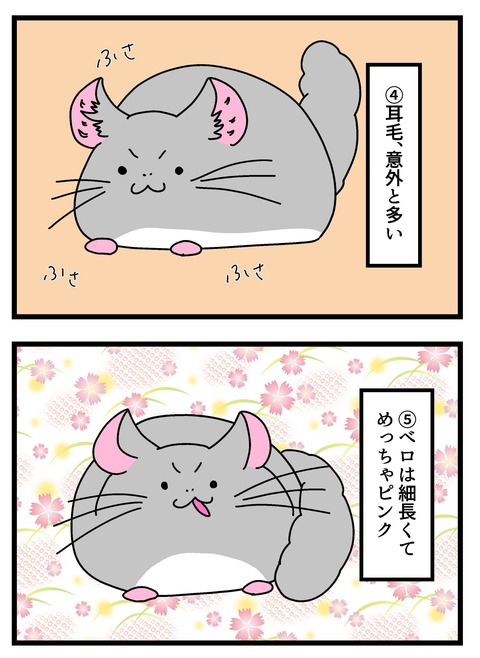 個展で入れたやつ_008 copy 3