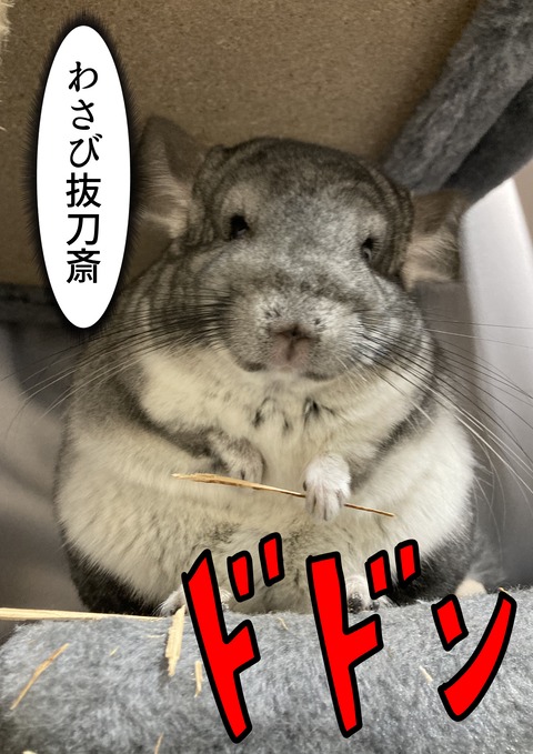 個展に出した画像_010