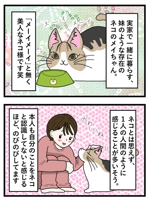 わさびとぐうたらフレンド日記49_049 copy 2