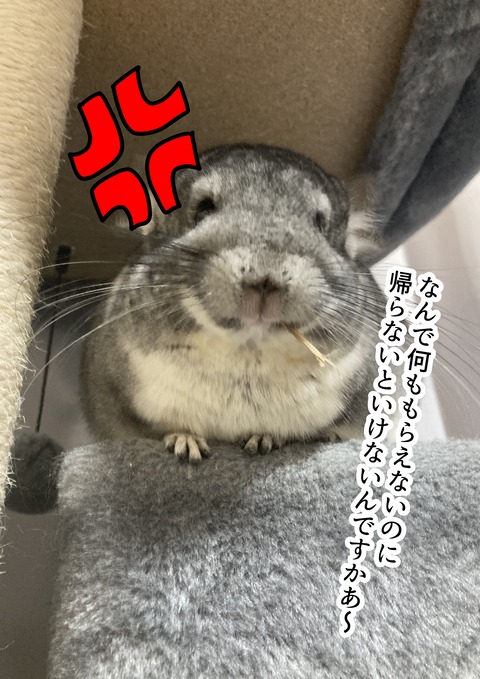 個展に出した画像_021