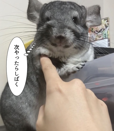 コミック67_028