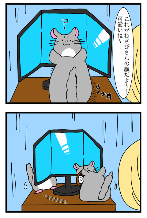 チンチラ漫画10〜16_014のコピー