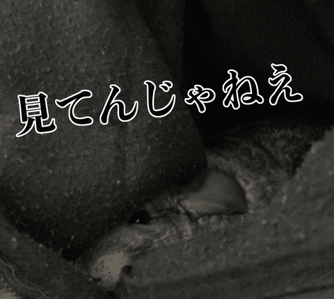 見てんじゃねえ