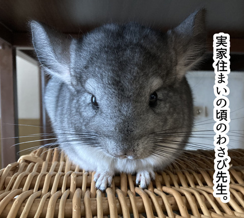 コミック65_024