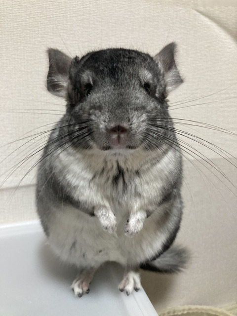 2EB68D88-396F-4122-A360-97C4EC43A0B0