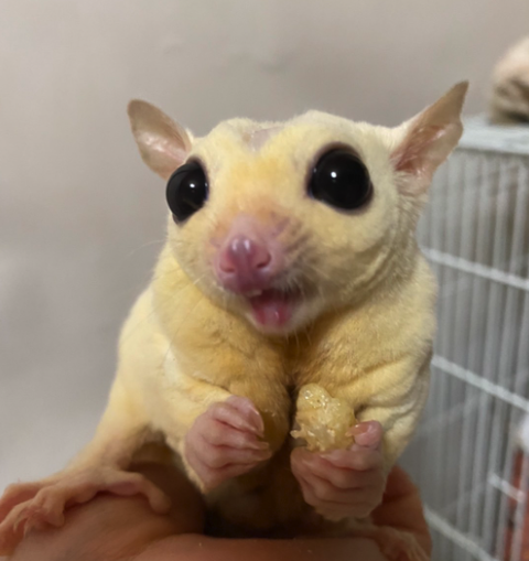 Screenshot 2023-12-23 at 15.14.37