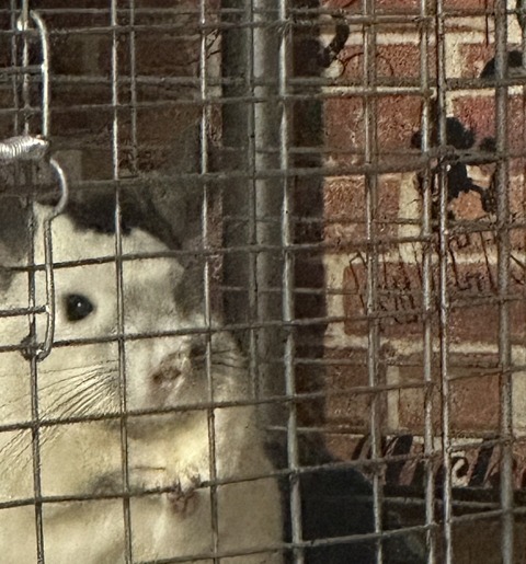 line_oa_chat_231103_084626