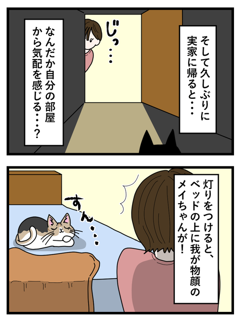 わさびとぐうたらフレンド日記49_049 copy