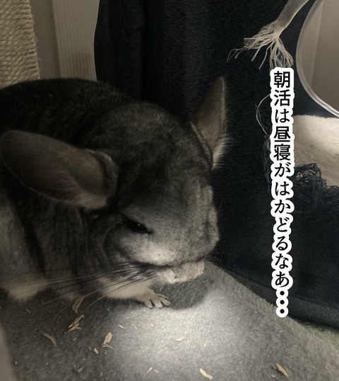 コミック69_020