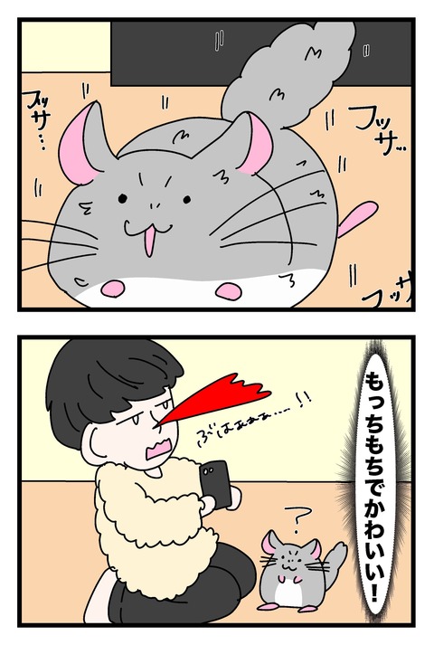 19ー22_019のコピー2