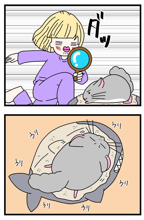 コミック66_073のコピー2