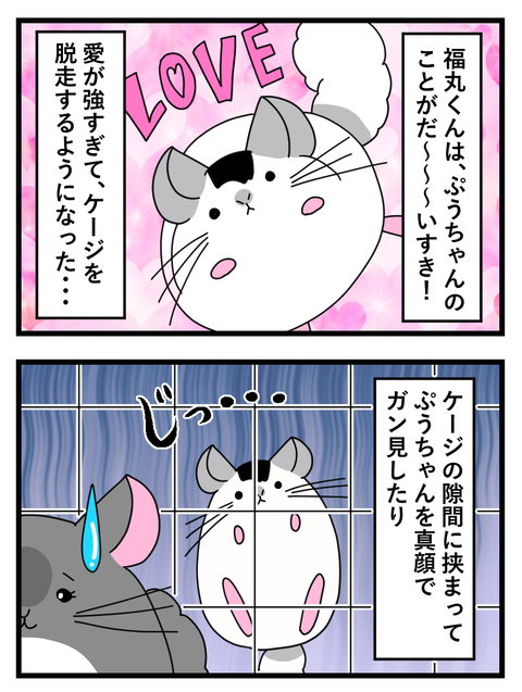 福丸くん_013 copy 2