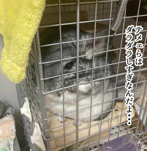 コミック66１_004