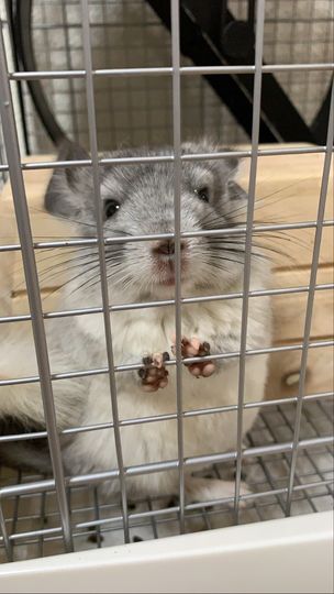 404206356_1084966116194800_1791163944098560236_n