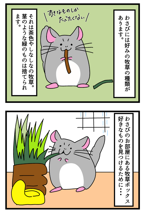 チンチラ漫画10〜16_011