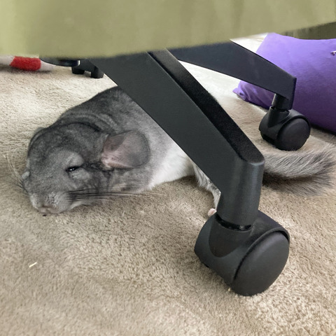 98C79A43-F06B-48C4-9D68-DEA69F099E37