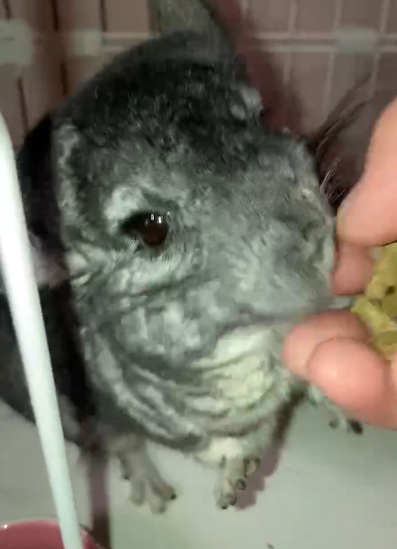 Screenshot 2023-12-23 at 15.15.30