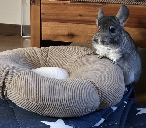 IMG_3559 - Sワゴン