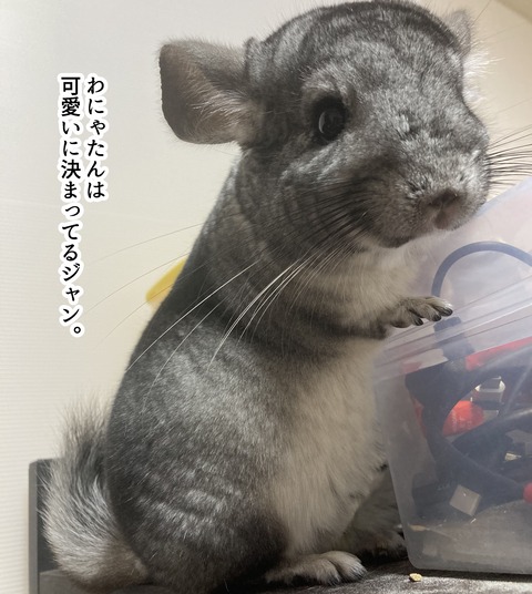 コミック66_020