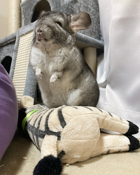 6D3F6AA8-9860-4BC1-8B56-D4BB9D08A36E