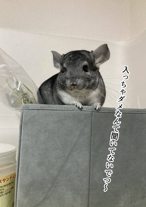 個展に出した画像_017