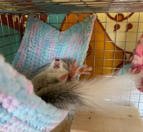 line_oa_chat_231118_162636