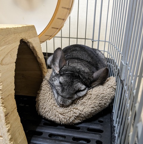 PXL_20230903_092000968 - mofu. non