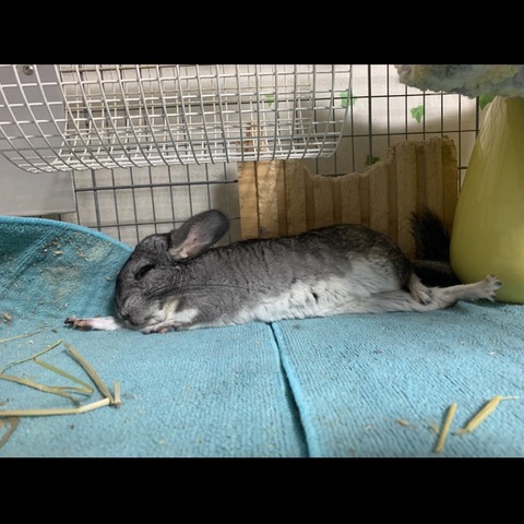 line_oa_chat_231223_145820