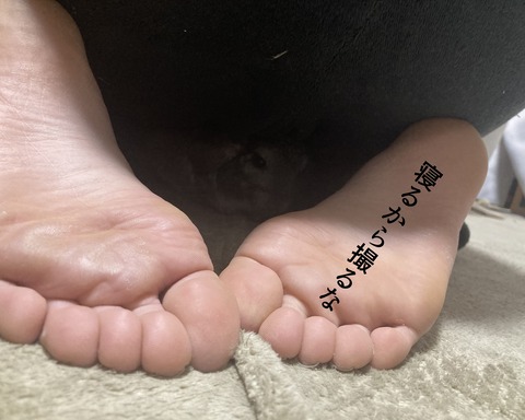 わさび画像4-6_005