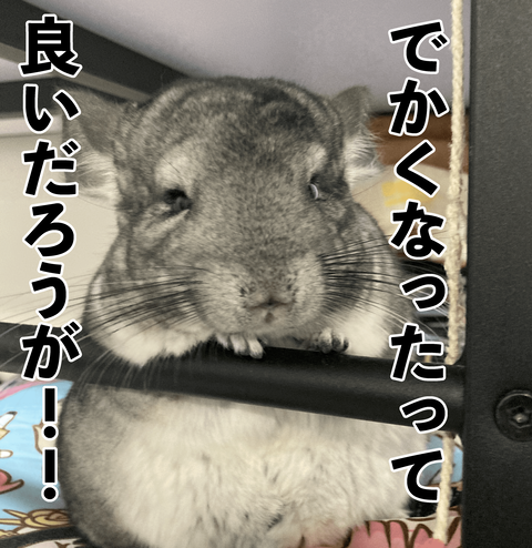 でかくなった