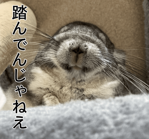 ふむな