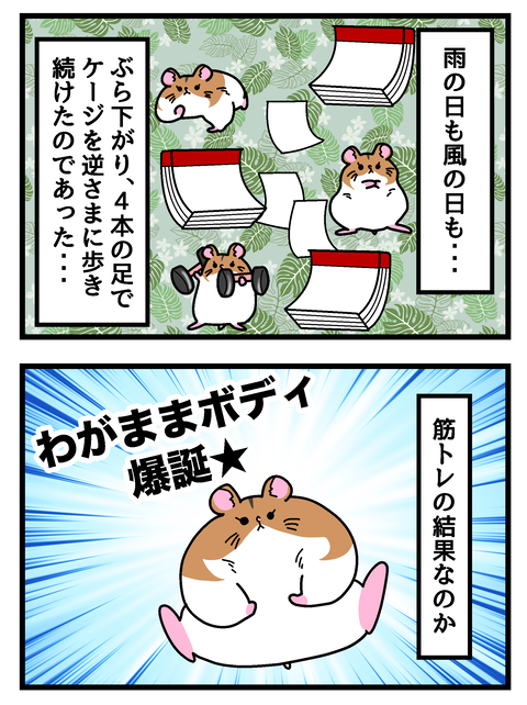 コミック4-6_004のコピー2