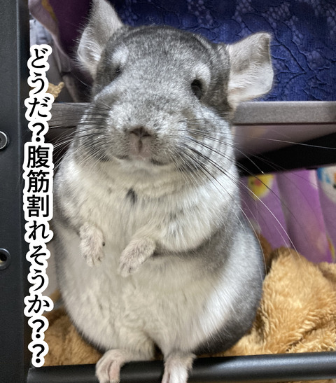 わさびの部屋_005