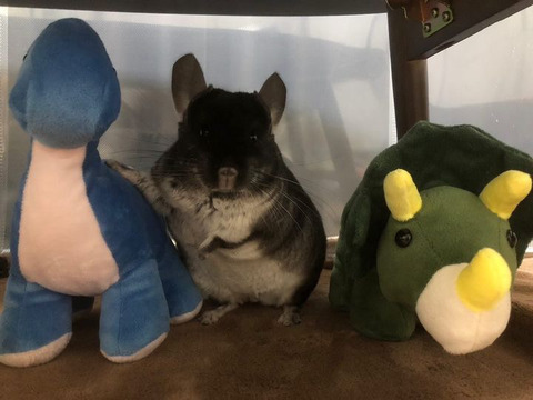 912DAB57-23C9-4D03-BD12-862789F02DD4