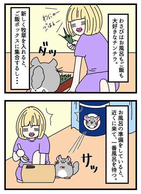 個展で入れたやつ_014 copy 2