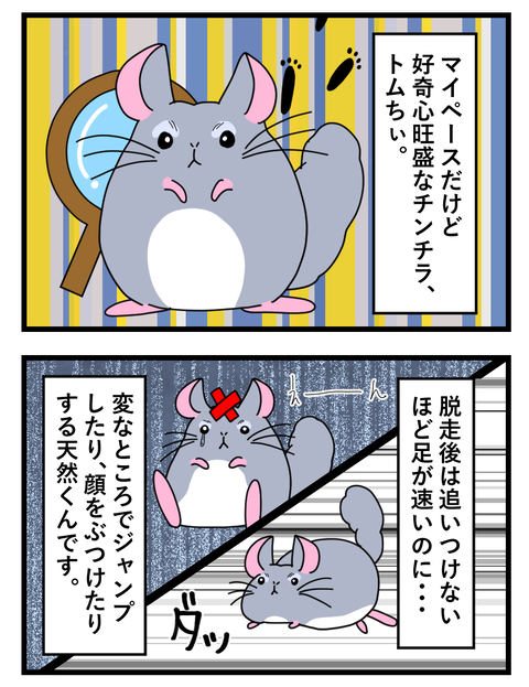 わさびとぐうたらフレンド日記４４４_046 copy 2