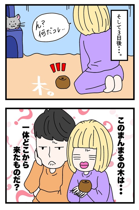 コミック63_018のコピー