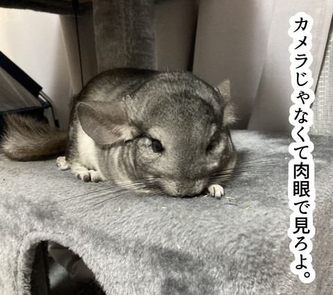 コミック63_034