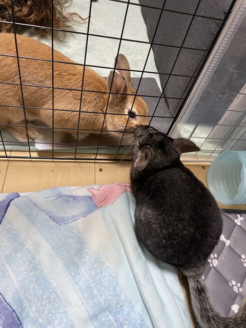 IMG_6821 - みゆう