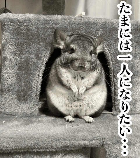 たまには1人に (1)