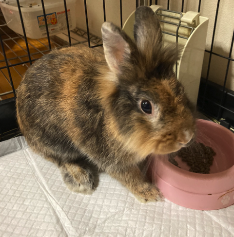 Screenshot 2023-12-23 at 15.14.28