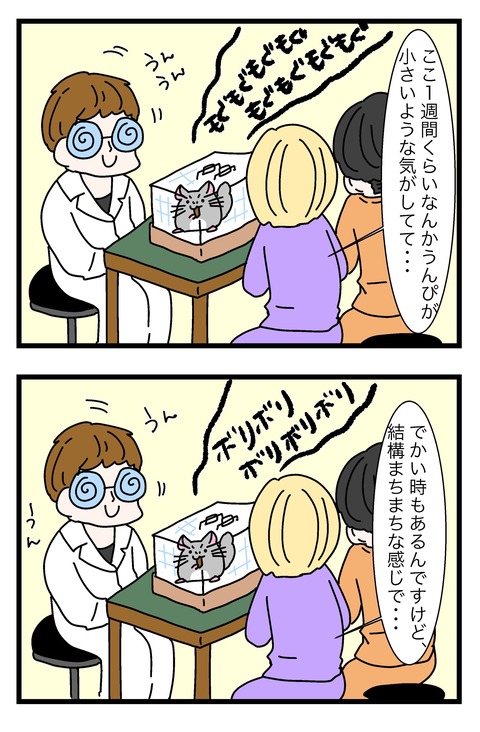 318_017のコピー