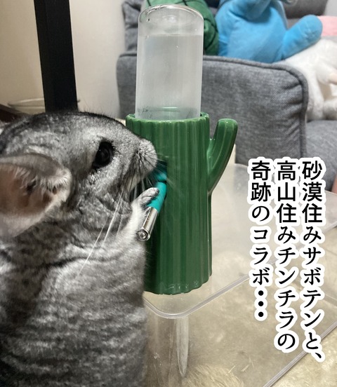 コミック66_015