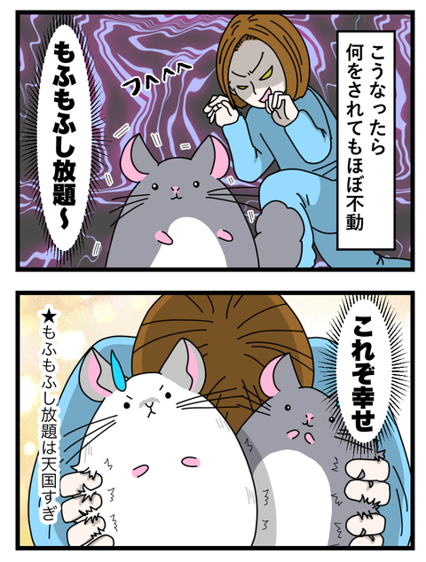 14~16_016 copy 2