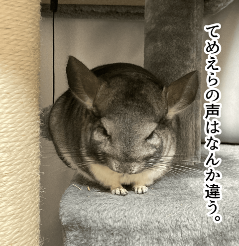 用もないのに〜_012