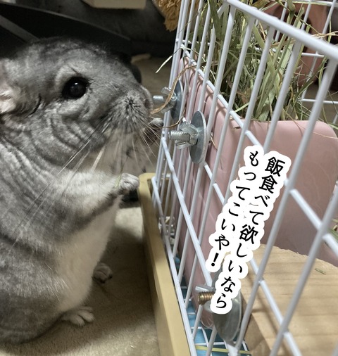 318画像_019