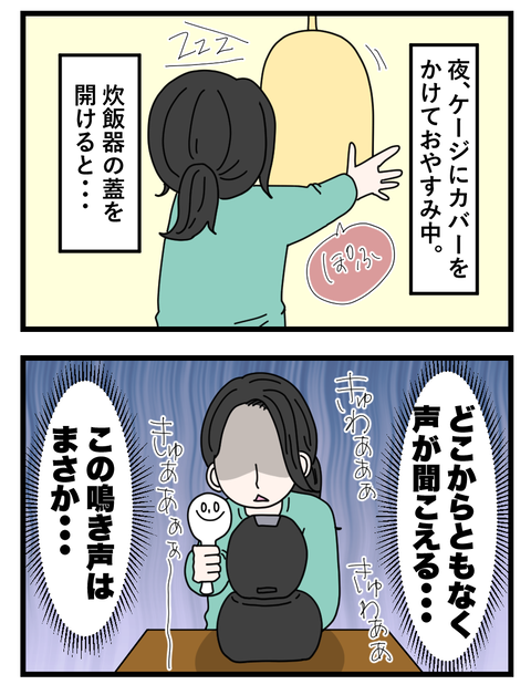 わさびとぐうたらフレンド日記_007